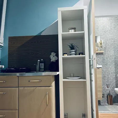 Apartment Le Petit Bien A Centre Strasbourg