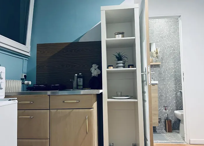 Appartement Le Petit Bien A Centre Straatsburg