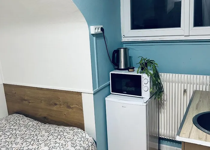 Apartment Le Petit Bien A Centre Strasbourg