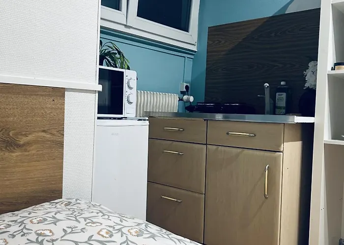 Appartement Le Petit Bien A Centre *